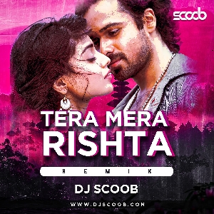 Tera Mera Rishta (Remix) - DJ Scoob